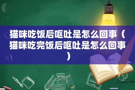 猫咪吃饭后呕吐是怎么回事（猫咪吃完饭后呕吐是怎么回事）