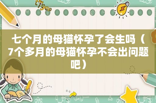 七个月的母猫怀孕了会生吗（7个多月的母猫怀孕不会出问题吧）