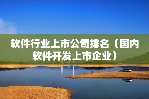 软件行业上市公司排名（国内软件开发上市企业）