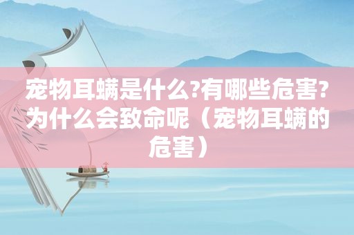 宠物耳螨是什么?有哪些危害?为什么会致命呢（宠物耳螨的危害）