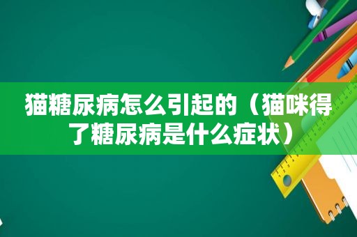 猫糖尿病怎么引起的（猫咪得了糖尿病是什么症状）