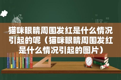 猫咪眼睛周围发红是什么情况引起的呢（猫咪眼睛周围发红是什么情况引起的图片）