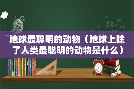 地球最聪明的动物（地球上除了人类最聪明的动物是什么）