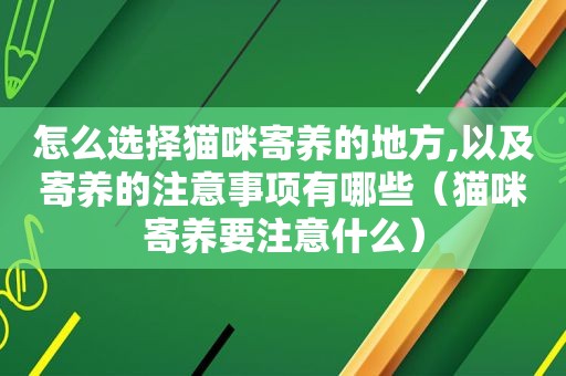 怎么选择猫咪寄养的地方,以及寄养的注意事项有哪些（猫咪寄养要注意什么）