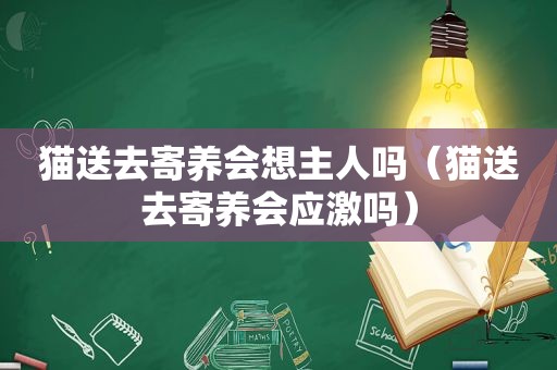 猫送去寄养会想主人吗（猫送去寄养会应激吗）