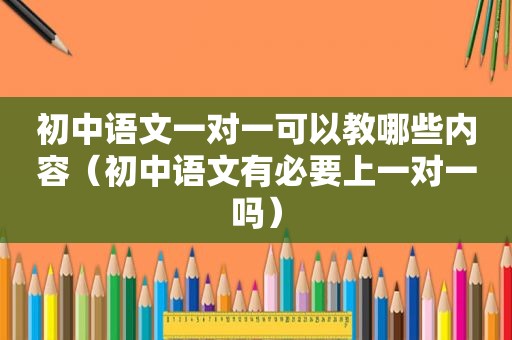 初中语文一对一可以教哪些内容（初中语文有必要上一对一吗）