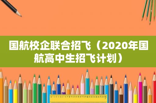 国航校企联合招飞（2020年国航高中生招飞计划）