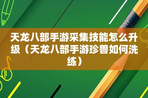 天龙八部手游采集技能怎么升级（天龙八部手游珍兽如何洗练）