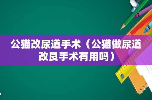 公猫改尿道手术（公猫做尿道改良手术有用吗）