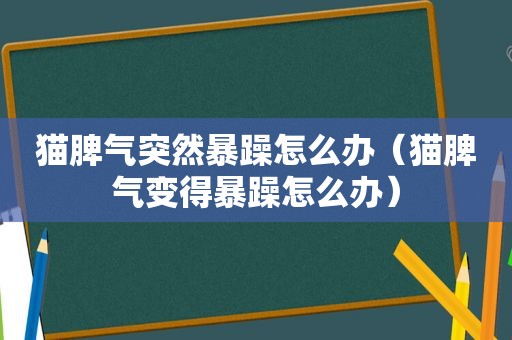 猫脾气突然暴躁怎么办（猫脾气变得暴躁怎么办）