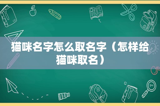 猫咪名字怎么取名字（怎样给猫咪取名）