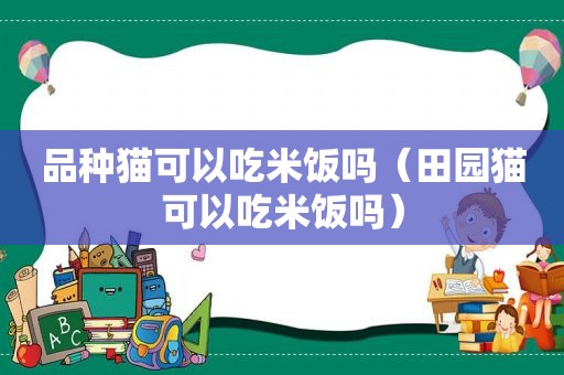 品种猫可以吃米饭吗（田园猫可以吃米饭吗）