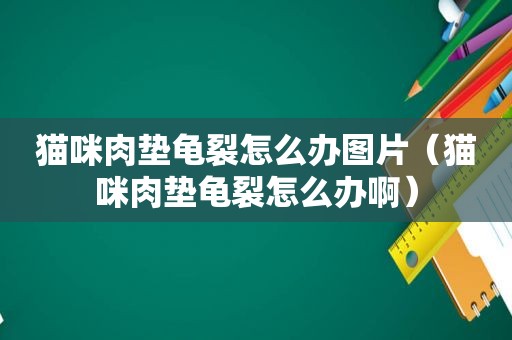 猫咪肉垫龟裂怎么办图片（猫咪肉垫龟裂怎么办啊）