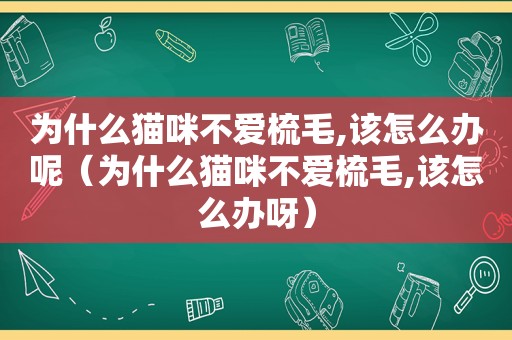 为什么猫咪不爱梳毛,该怎么办呢（为什么猫咪不爱梳毛,该怎么办呀）