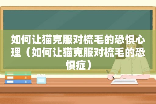 如何让猫克服对梳毛的恐惧心理（如何让猫克服对梳毛的恐惧症）