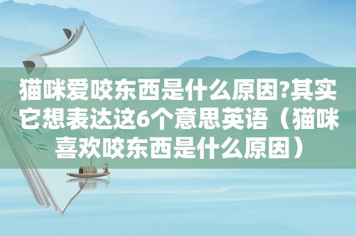 猫咪爱咬东西是什么原因?其实它想表达这6个意思英语（猫咪喜欢咬东西是什么原因）