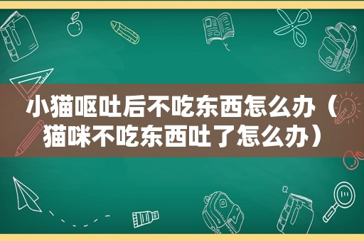 小猫呕吐后不吃东西怎么办（猫咪不吃东西吐了怎么办）