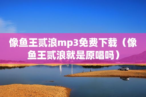 像鱼王贰浪mp3免费下载（像鱼王贰浪就是原唱吗）