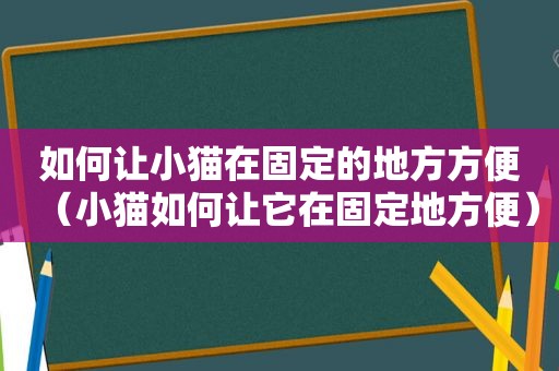 如何让小猫在固定的地方方便（小猫如何让它在固定地方便）