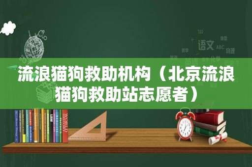 流浪猫狗救助机构（北京流浪猫狗救助站志愿者）