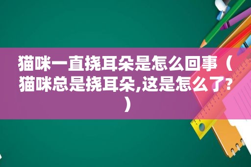 猫咪一直挠耳朵是怎么回事（猫咪总是挠耳朵,这是怎么了?）