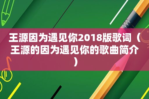 王源因为遇见你2018版歌词（王源的因为遇见你的歌曲简介）