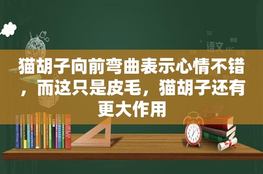 猫胡子向前弯曲表示心情不错，而这只是皮毛，猫胡子还有更大作用