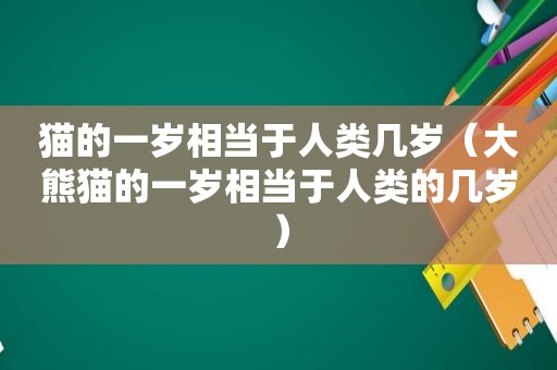 猫的一岁相当于人类几岁（大熊猫的一岁相当于人类的几岁）