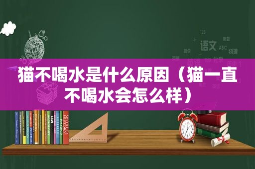 猫不喝水是什么原因（猫一直不喝水会怎么样）