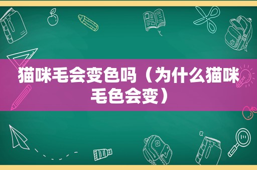 猫咪毛会变色吗（为什么猫咪毛色会变）