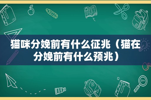 猫咪分娩前有什么征兆（猫在分娩前有什么预兆）