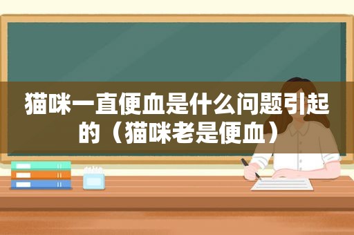 猫咪一直便血是什么问题引起的（猫咪老是便血）