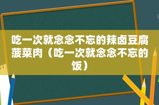 吃一次就念念不忘的辣卤豆腐 *** 肉（吃一次就念念不忘的饭）