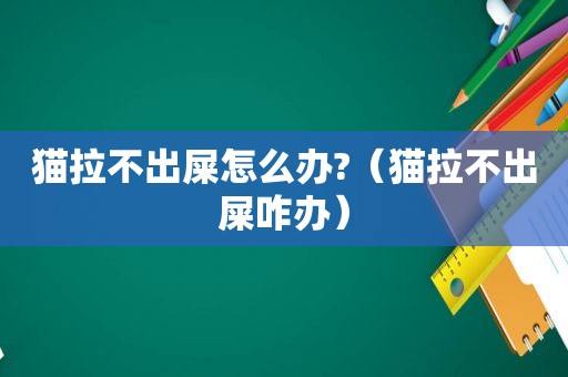 猫拉不出屎怎么办?（猫拉不出屎咋办）