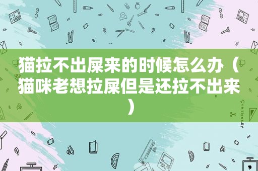 猫拉不出屎来的时候怎么办（猫咪老想拉屎但是还拉不出来）