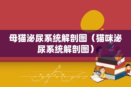 母猫泌尿系统解剖图（猫咪泌尿系统解剖图）