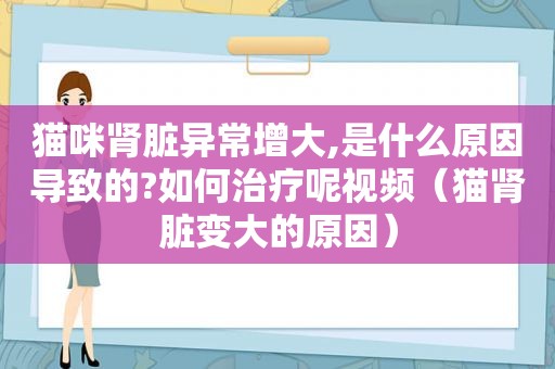 猫咪肾脏异常增大,是什么原因导致的?如何治疗呢视频（猫肾脏变大的原因）