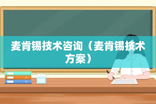 麦肯锡技术咨询（麦肯锡技术方案）