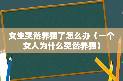 女生突然养猫了怎么办（一个女人为什么突然养猫）