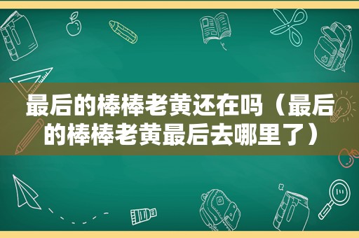 最后的棒棒老黄还在吗（最后的棒棒老黄最后去哪里了）