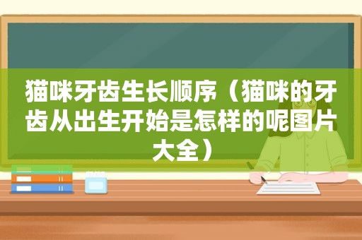 猫咪牙齿生长顺序（猫咪的牙齿从出生开始是怎样的呢图片大全）