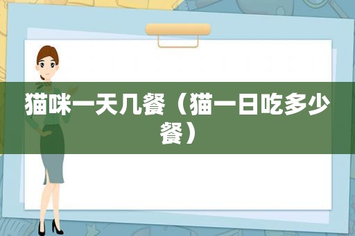 猫咪一天几餐（猫一日吃多少餐）