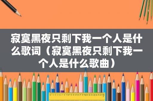 寂寞黑夜只剩下我一个人是什么歌词（寂寞黑夜只剩下我一个人是什么歌曲）