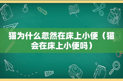 猫为什么忽然在床上小便（猫会在床上小便吗）