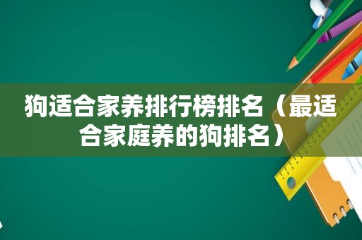 狗适合家养排行榜排名（最适合家庭养的狗排名）