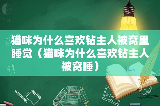 猫咪为什么喜欢钻主人被窝里睡觉（猫咪为什么喜欢钻主人被窝睡）