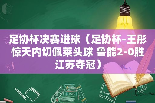 足协杯决赛进球（足协杯-王彤惊天内切佩莱头球 鲁能2-0胜江苏夺冠）