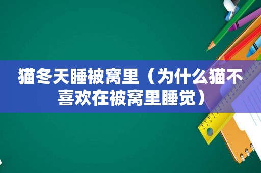 猫冬天睡被窝里（为什么猫不喜欢在被窝里睡觉）