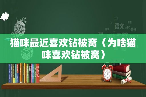 猫咪最近喜欢钻被窝（为啥猫咪喜欢钻被窝）