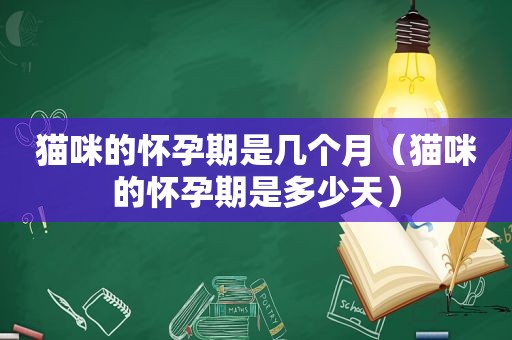 猫咪的怀孕期是几个月（猫咪的怀孕期是多少天）